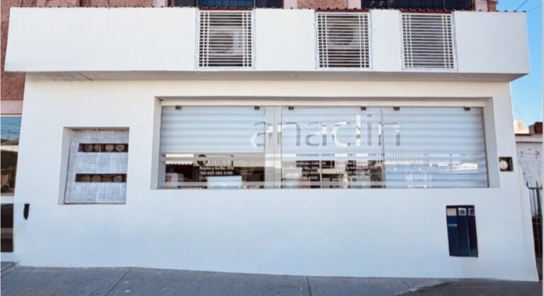 Imagen 11 12 25 a las 10.19 a.m 768x418